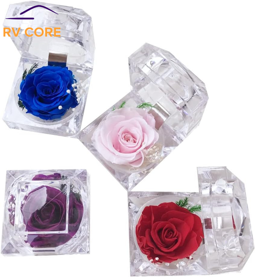 Real Preserved Forever Rose in Ring Box Gift for Mom Wife Girlfriend Red