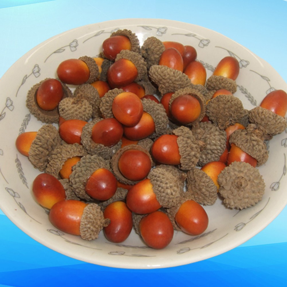 Realistic Fake Acorn Ornament Set of 50 for Home Decoration and Photo Props