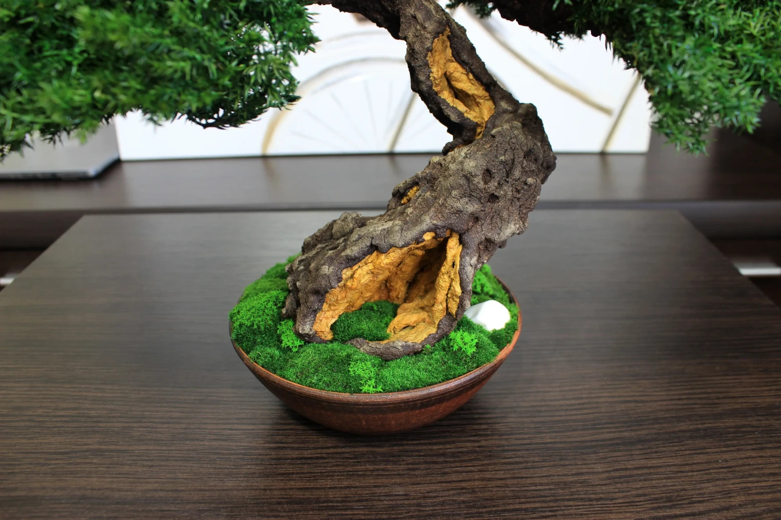 Exclusive Preserved Juniper Bonsai – Interior Art Sculpture. 37 cm / 14,6″