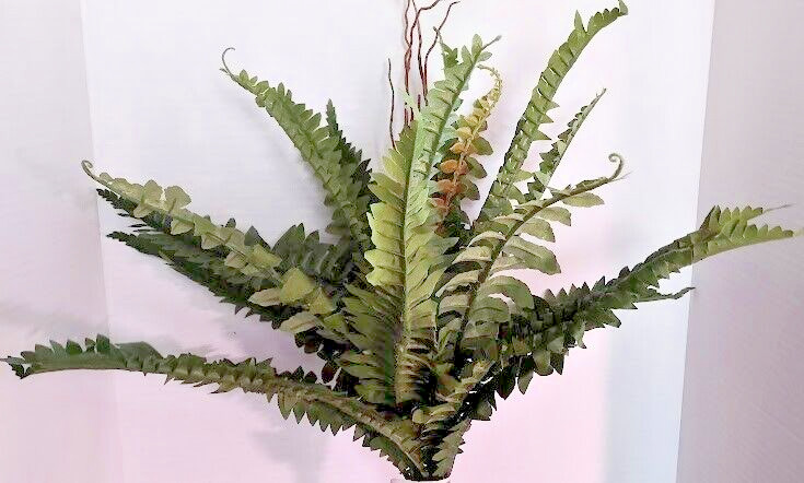 Artificial Boston Fern Silk Flower Arrangements