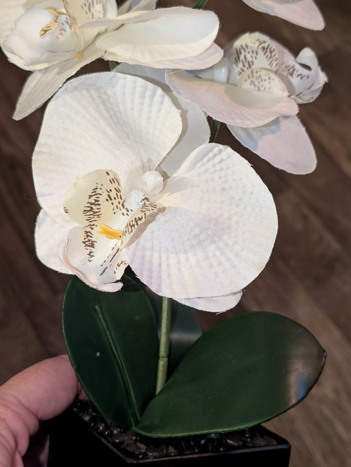 White 16″ Orchid Silk Flower in Black Vase