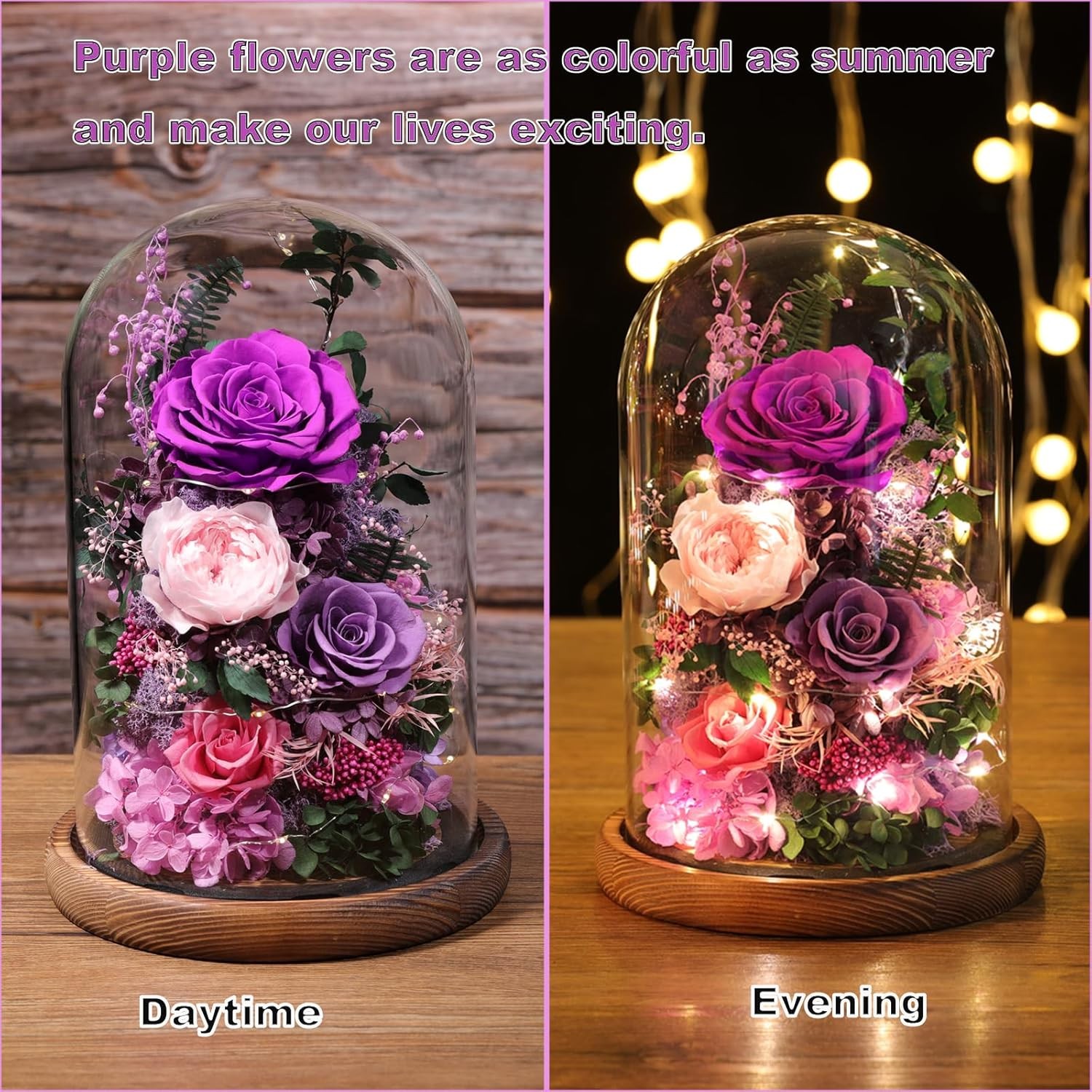Flower Delivery: Fresh roses in a glass dome, purple roses (preserved flowers)