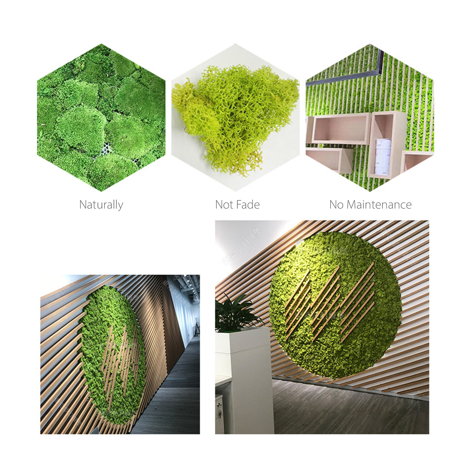 Preserved Moss Wall Decor Real Preserved Moss No Maintenance Required Z4F9