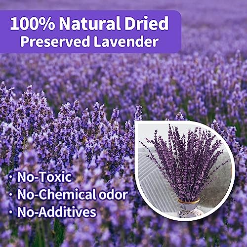 Dried Lavender Flowers Bouquet 15-17 inch Purple Bundle Preserved Aromatherapy D