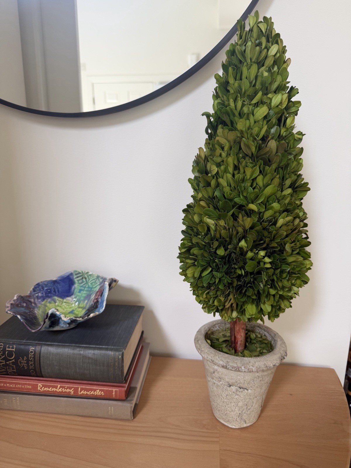 Preserved Boxwood Cone Topiary in a rustic pot, 21.5” tall