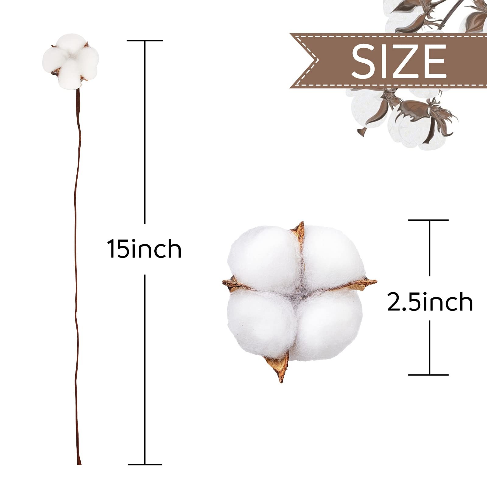 30PCS Natural Dried Cotton Stems, 15″ Tall Cotton Sprigs for Vase Fillers DIY…