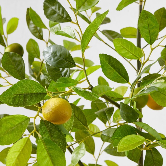 Faux Lemon Tree, 3′-5′ Lifelike Decor-Williams Sonoma|43585