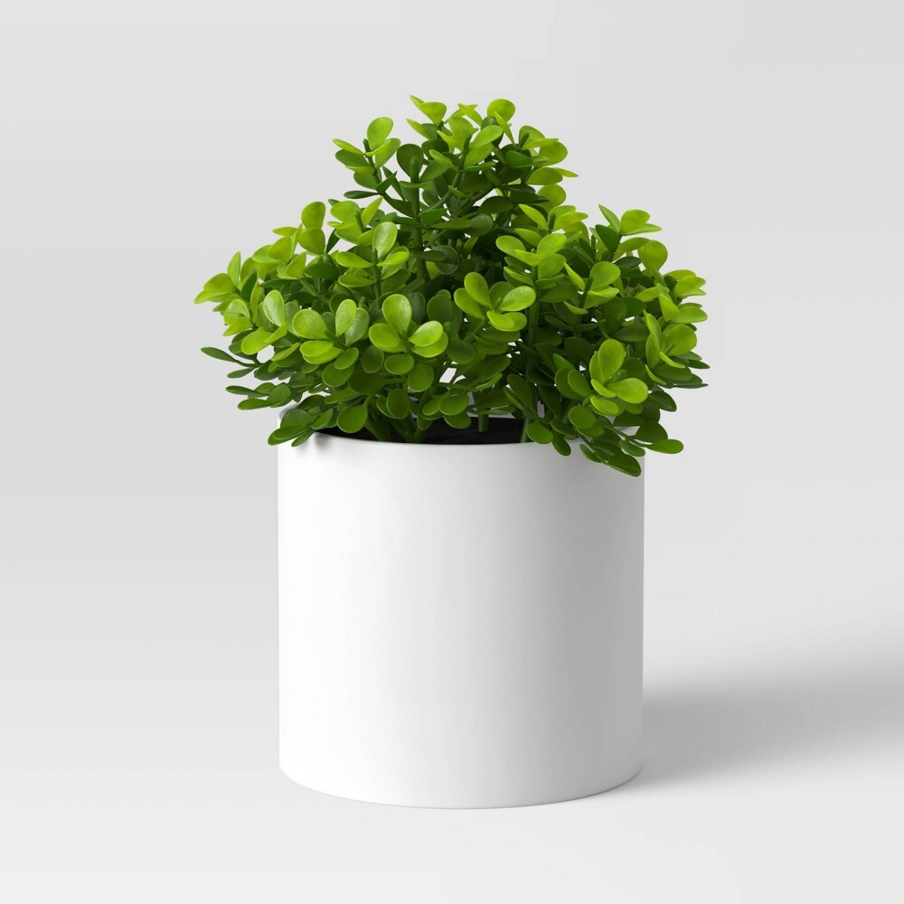Boxwood Faux Plant – Threshold™