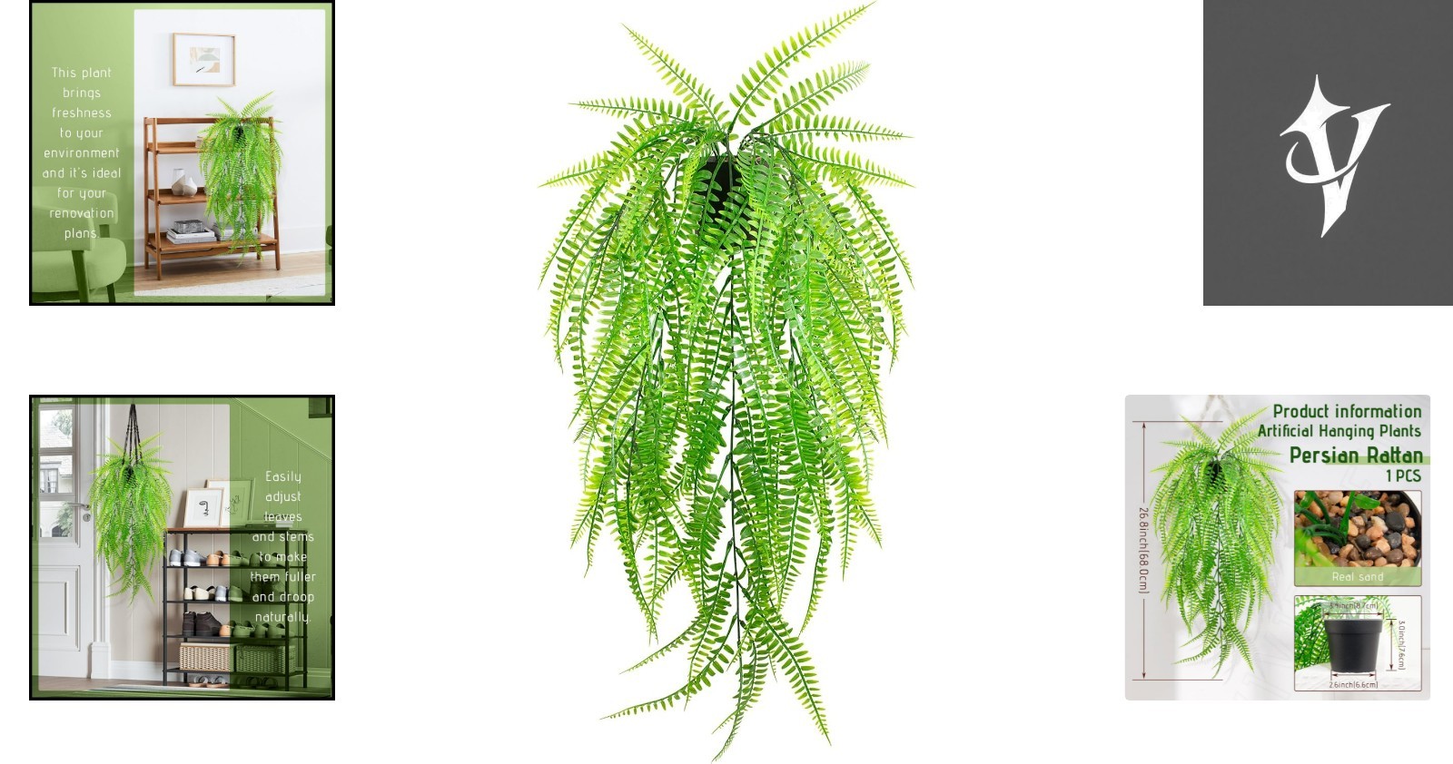 Elegant Hanging Boston Fern for Home and Office Spaces – No Maintenance Required