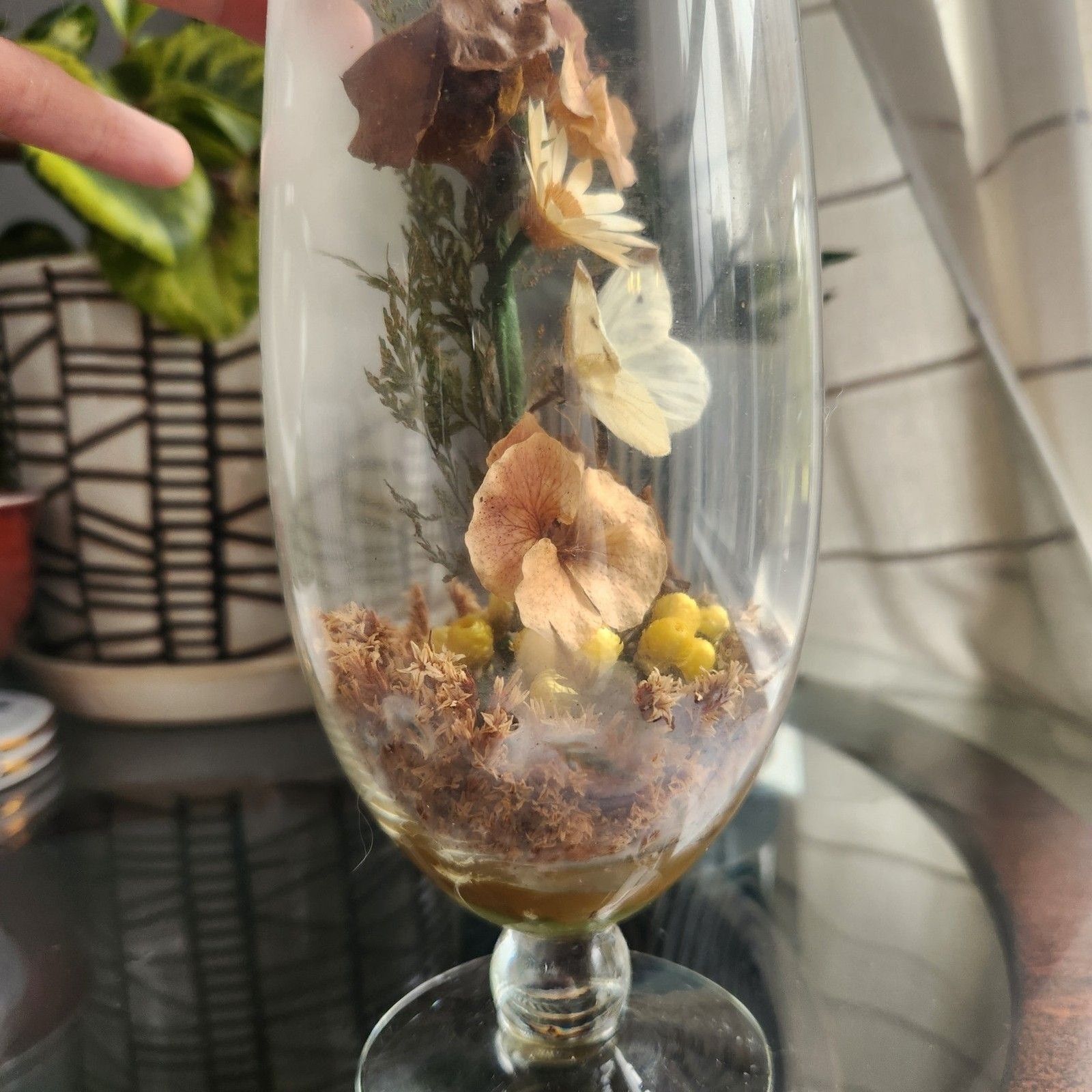 Vtg Apothecary Jar Sealed Butterfly Terrarium Floral Dried Flowers Cottagecore