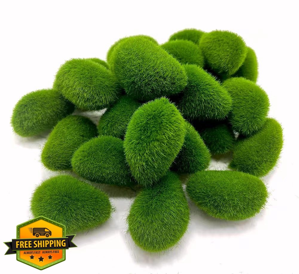 ArtandBeauty 25pcs Green Moss Rocks