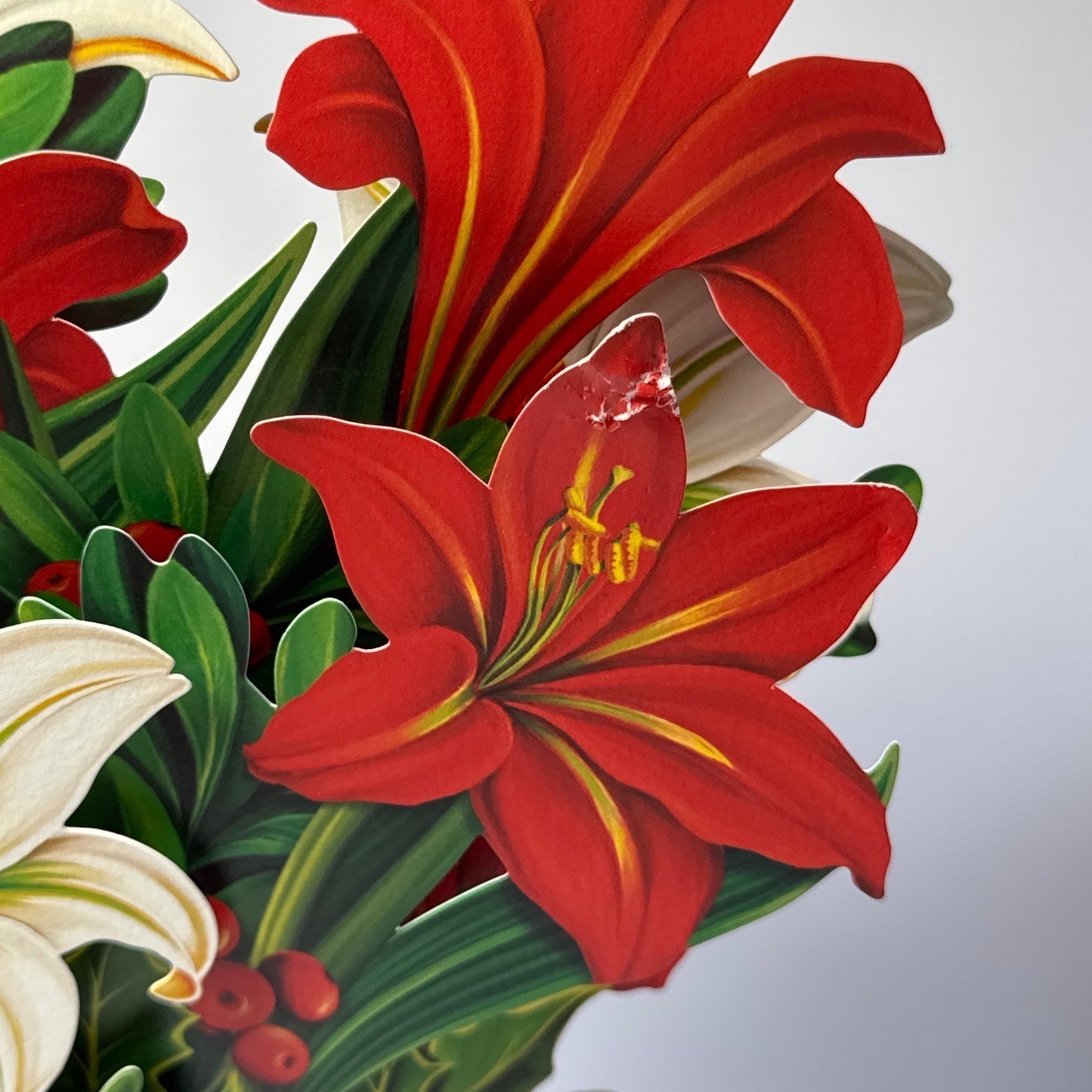 Freshcut Paper 3D Pop Up Flower Bouquets 2ct Red White Christmas Holiday Decor