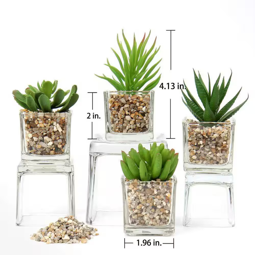 4.13 In. H Green Indoor Succulents Artificial Plant in Clear Glass Pots for Wind