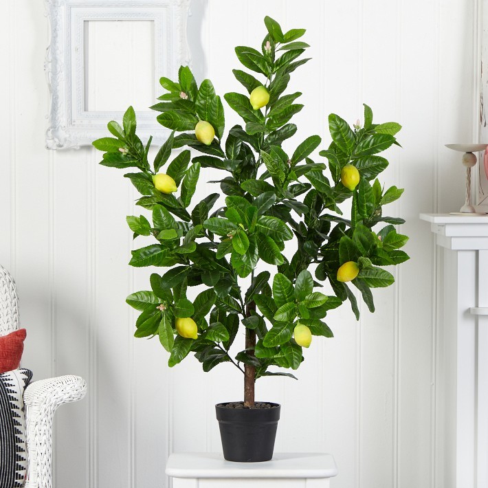Faux Lemon Tree, 3′-5′ Lifelike Decor-Williams Sonoma|43585
