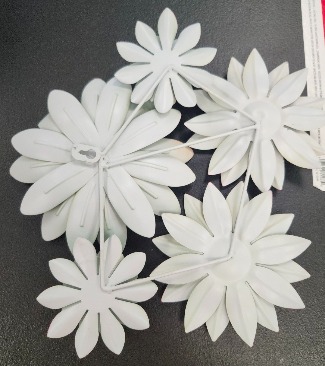 Succulent Wall Decor Multicolored
