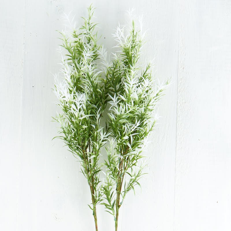 Pack of 2 White and Green Artificial Springeri Grass 31″ Sprays