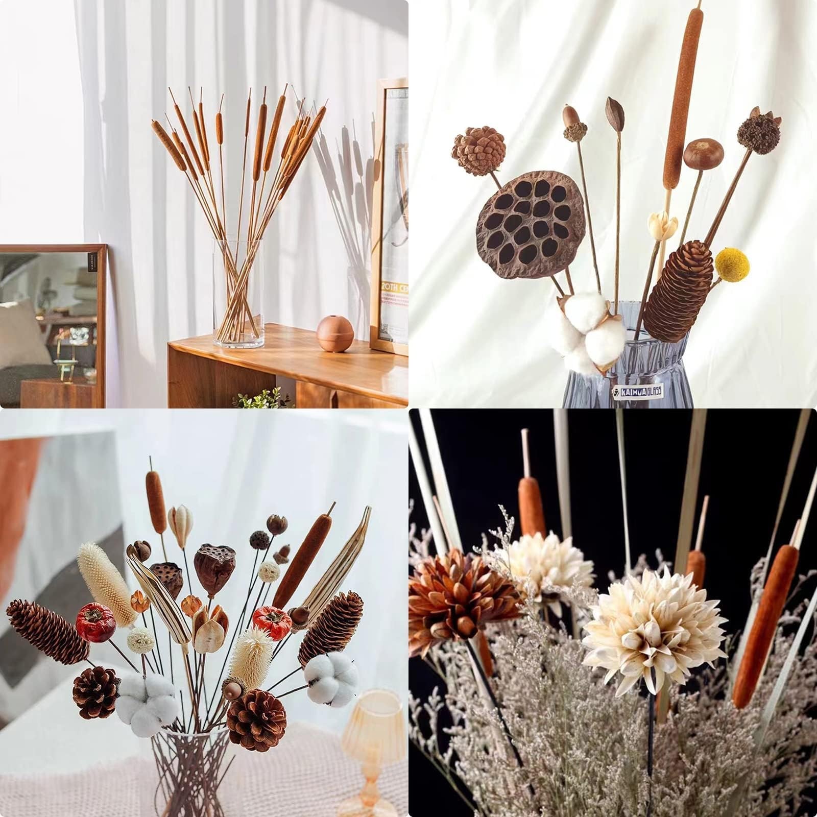 Dried Natural Cattails Jumbo Size For DIY Floral Decor 0.75×24 Inch 20 PCS