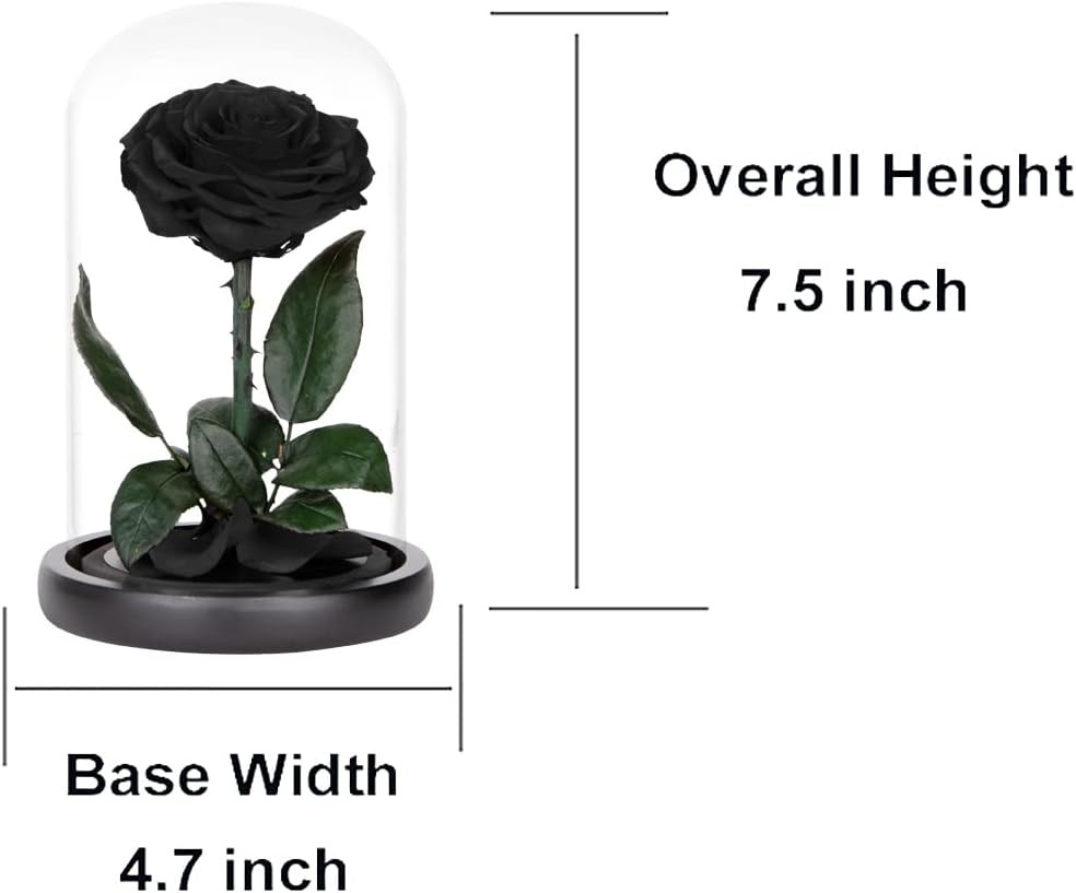 Preserved Roses Black in Glass Dome, Medium, Real Rose