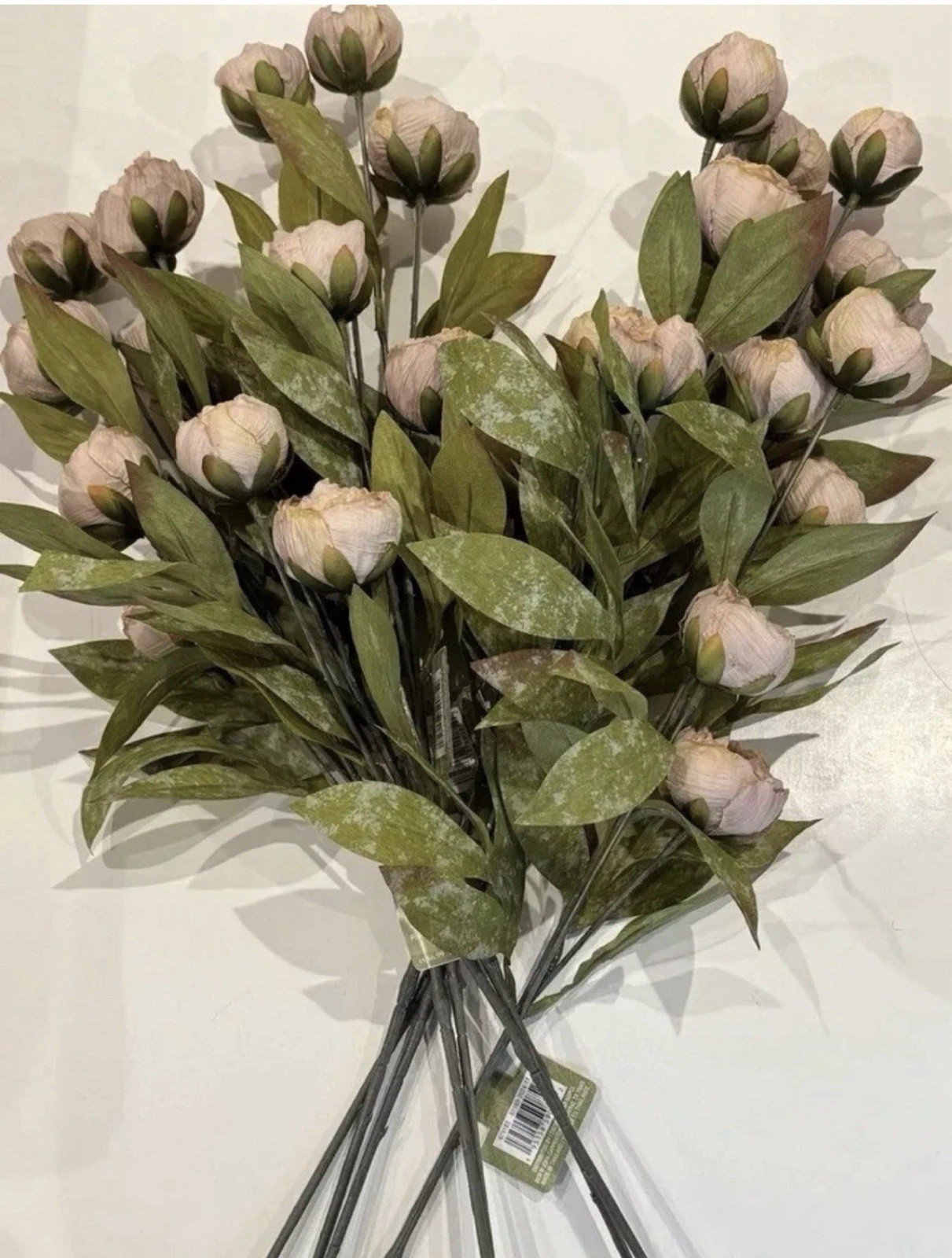 Viral Ashland Tan Peony Stems Michaels Set of 8 – Floral Decor TikTok Flowers