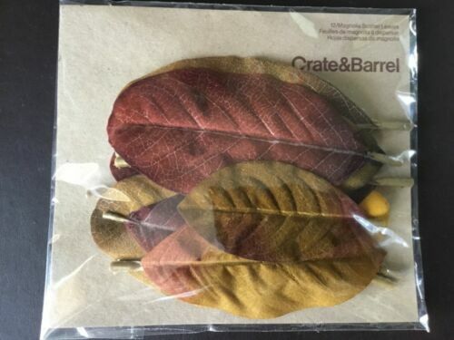 RARE NEW Crate & Barrel Set 12 Magnolia Scatter Leaves Fall Autumn Thanksgiving