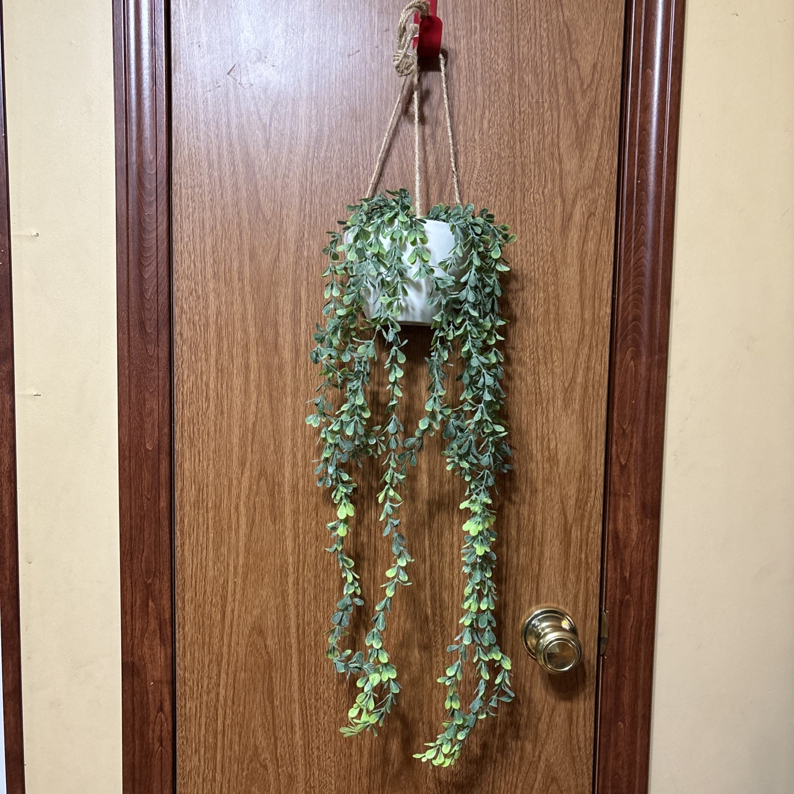 True Living Artificial Vine Hanging Plant, NWT #2