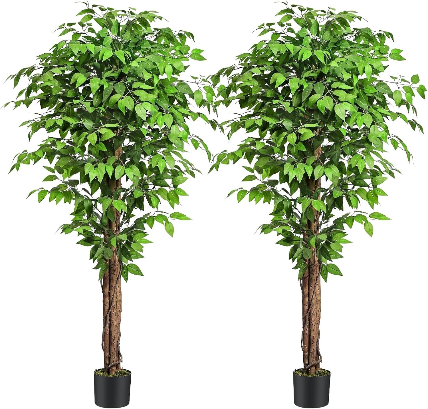 6.2ft Ficus Artificial Trees W/ 3 Natural Curved Trunks 74″ Tall Lush Faux Tree