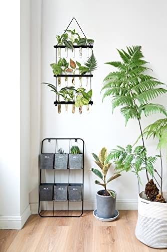 3 Tiered Wall Hanging Plant Terrarium with Wooden Stand Mini Test Medium Black