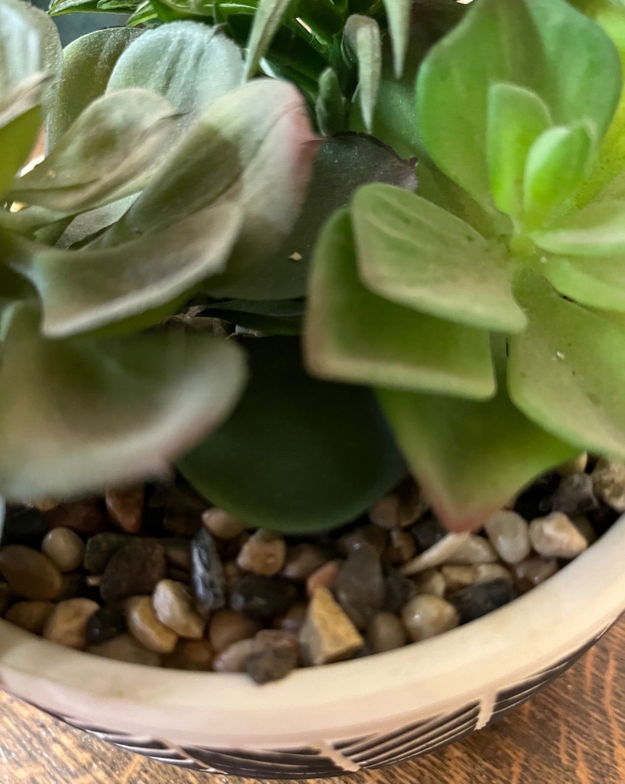 Artificial Indoor Potted Plants – One Succulents and One Grass