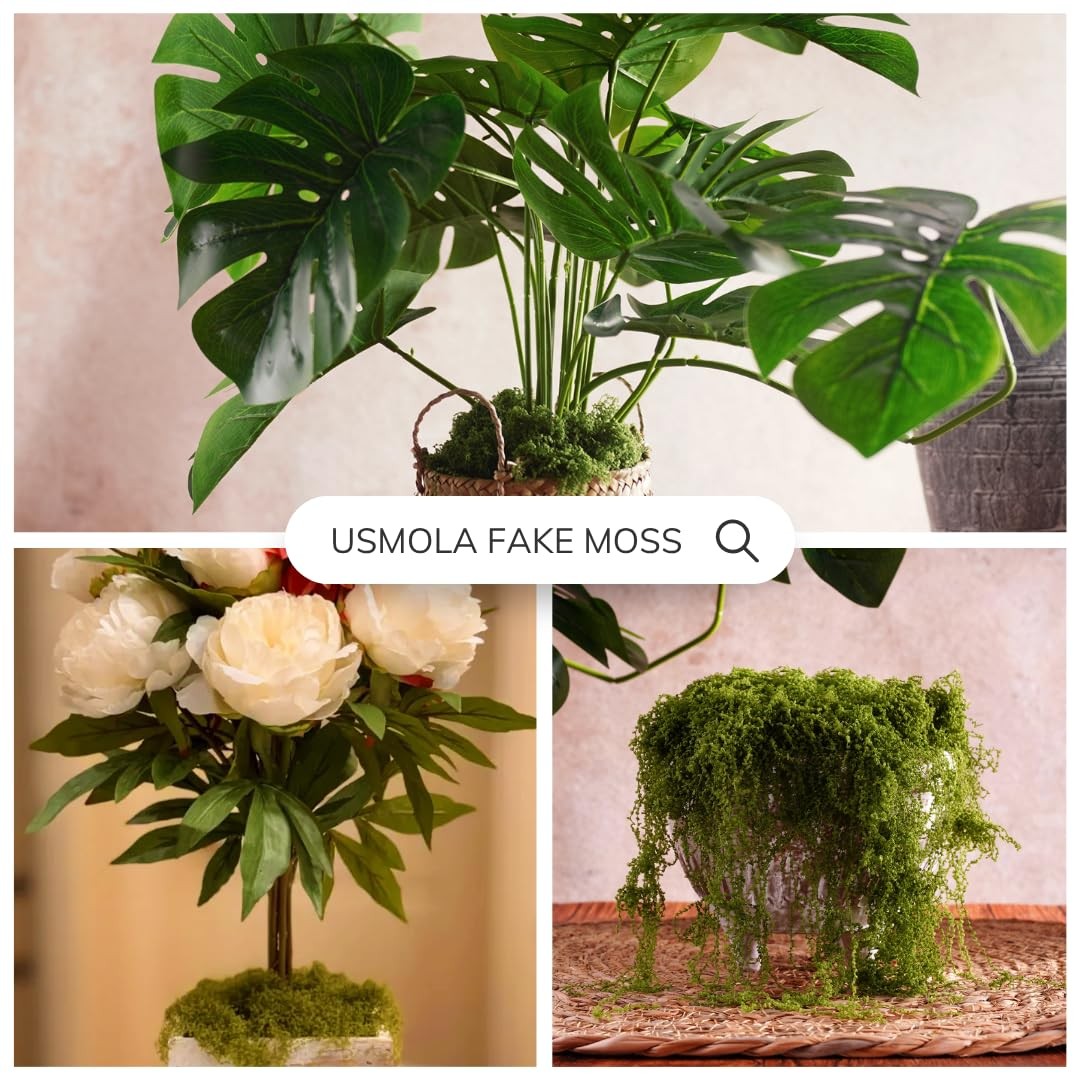 USMOLA 3.5OZ Fake Moss for Plants Indoor – Artificial Moss for Table Centerpi…