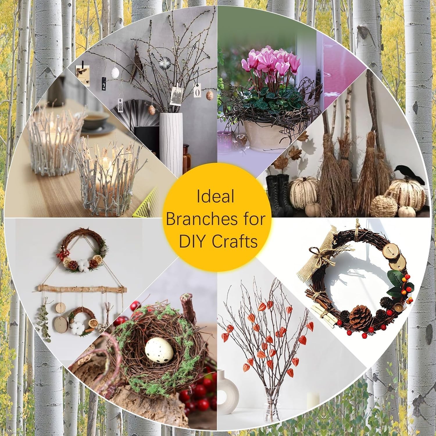 Elevate Your Space with 30-Pcs 17-Inch Birch Twigs – Rustic Home Decor Staples