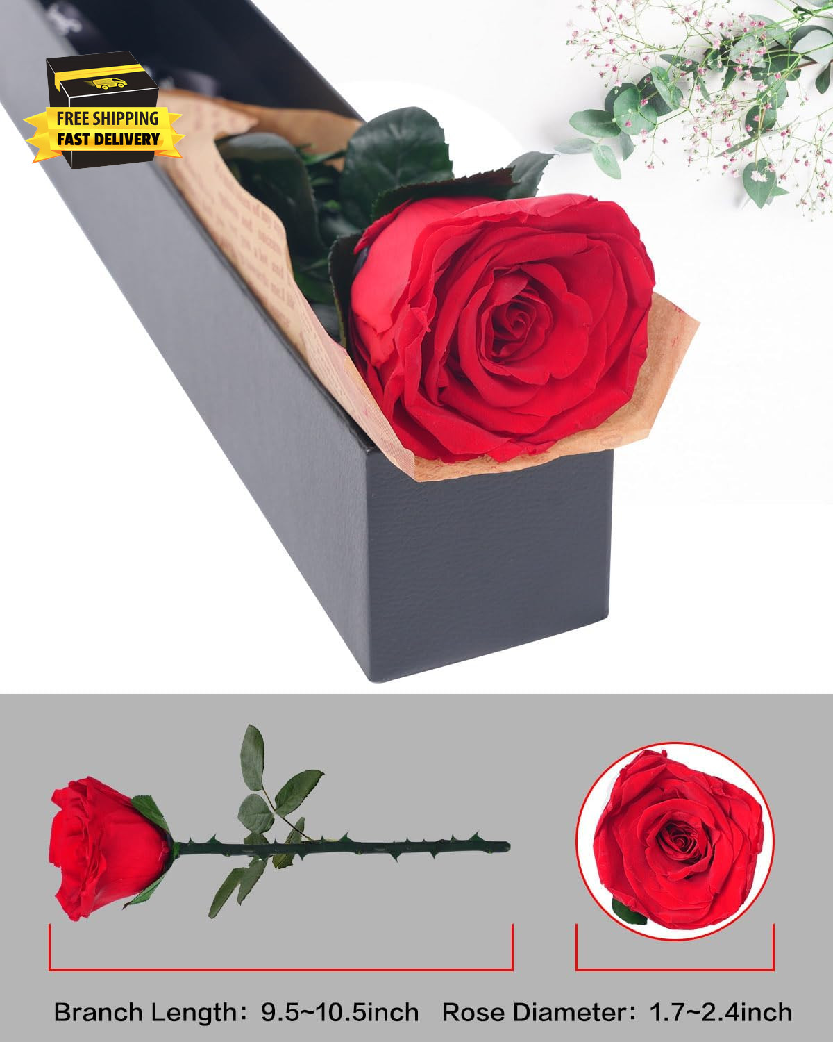 Preserved Flowers Gifts for Women: Valentines Day Mothers Day Birthday Christmas