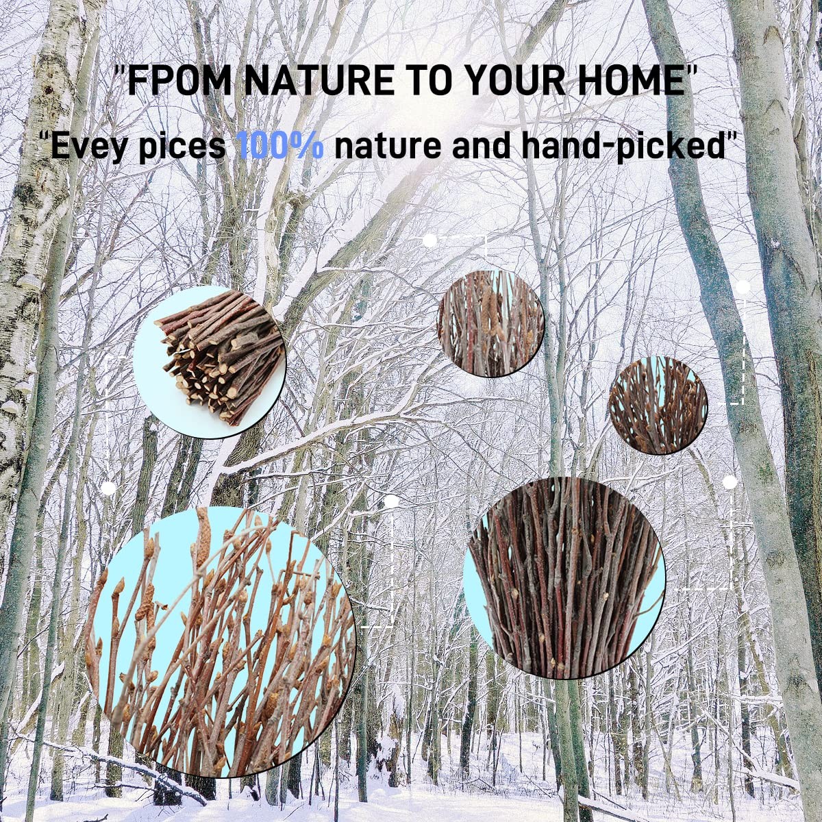 200pcs Birch Twigs 100% Natural Birch Branches for Decorating, DIY Crafts, Fl…