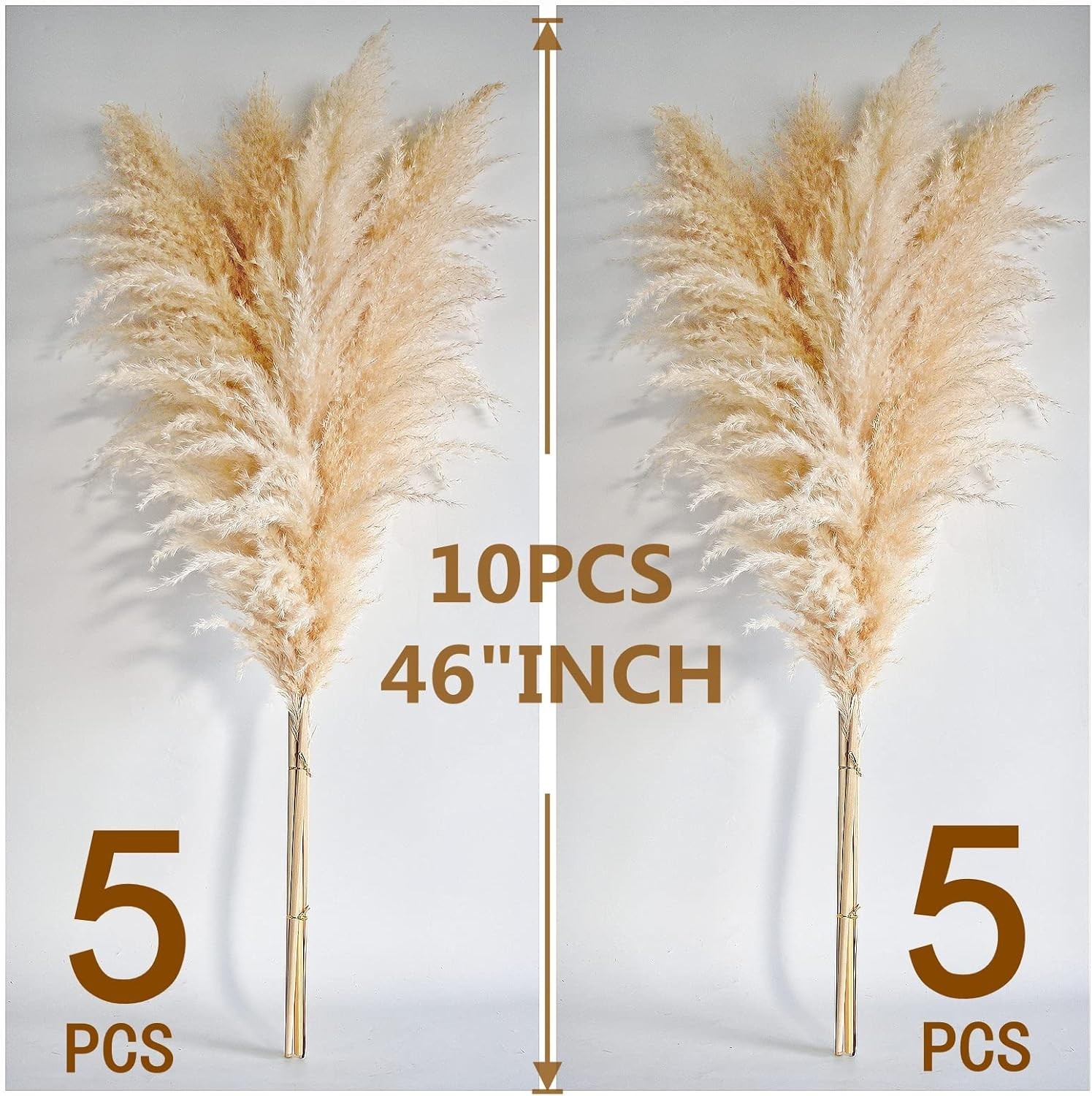 10 Stems 46″ inch Dried Pampas Grass Decor Tall, Large Pompas Grass, Boho Neu…