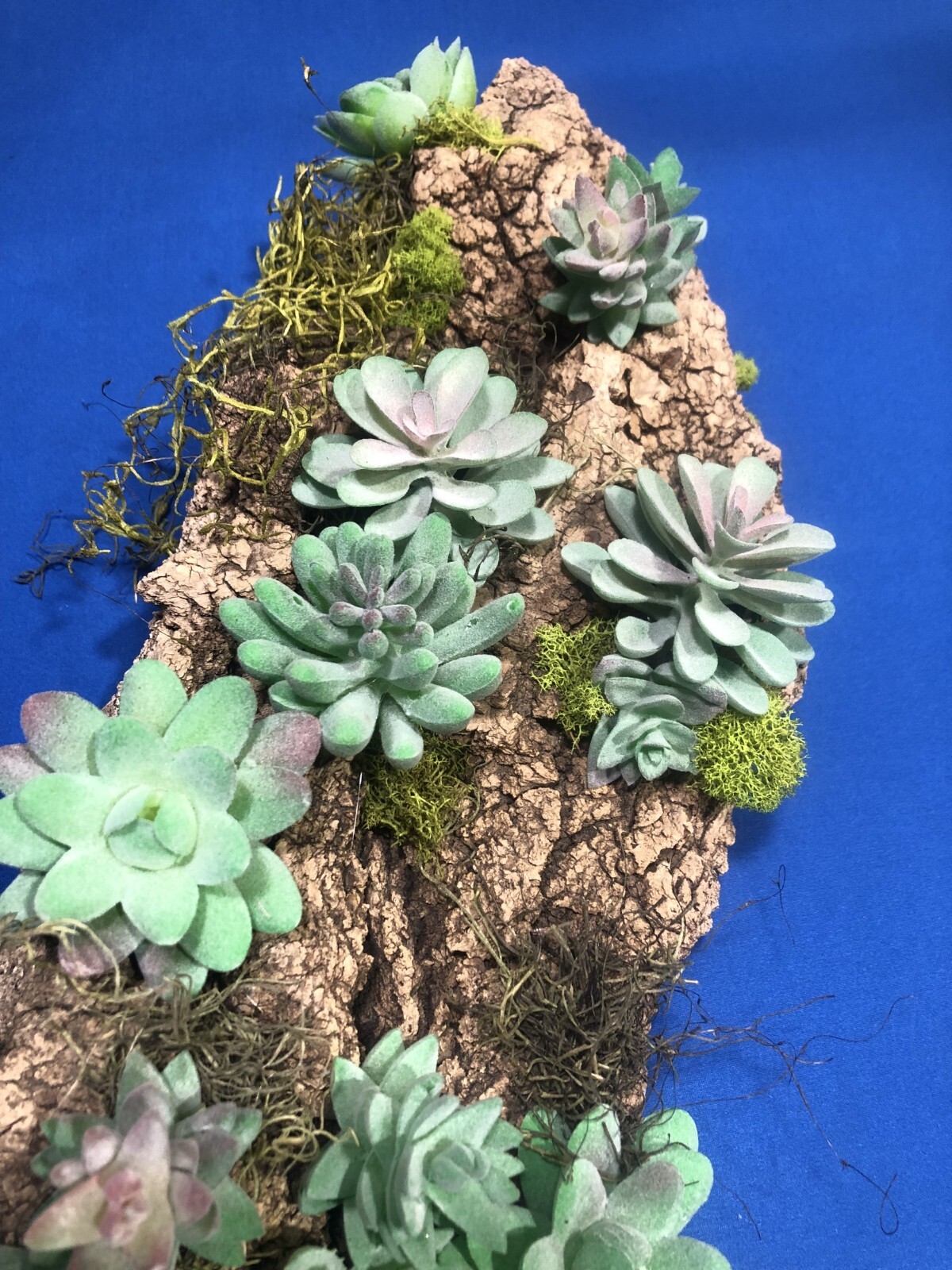 Artificial Succulent Air Plant Wall Art Home Office Mounted on Real Wood Bark