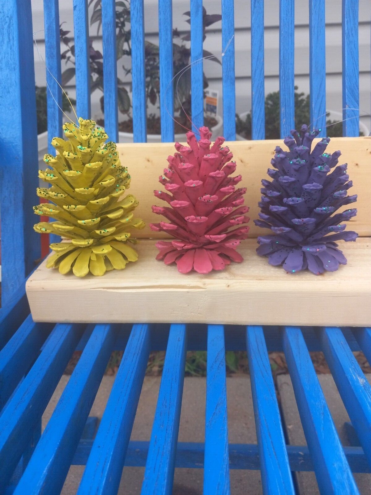 Hand painted pinecones,  various colors.  Set of 6 or 12. Fun holiday decor.