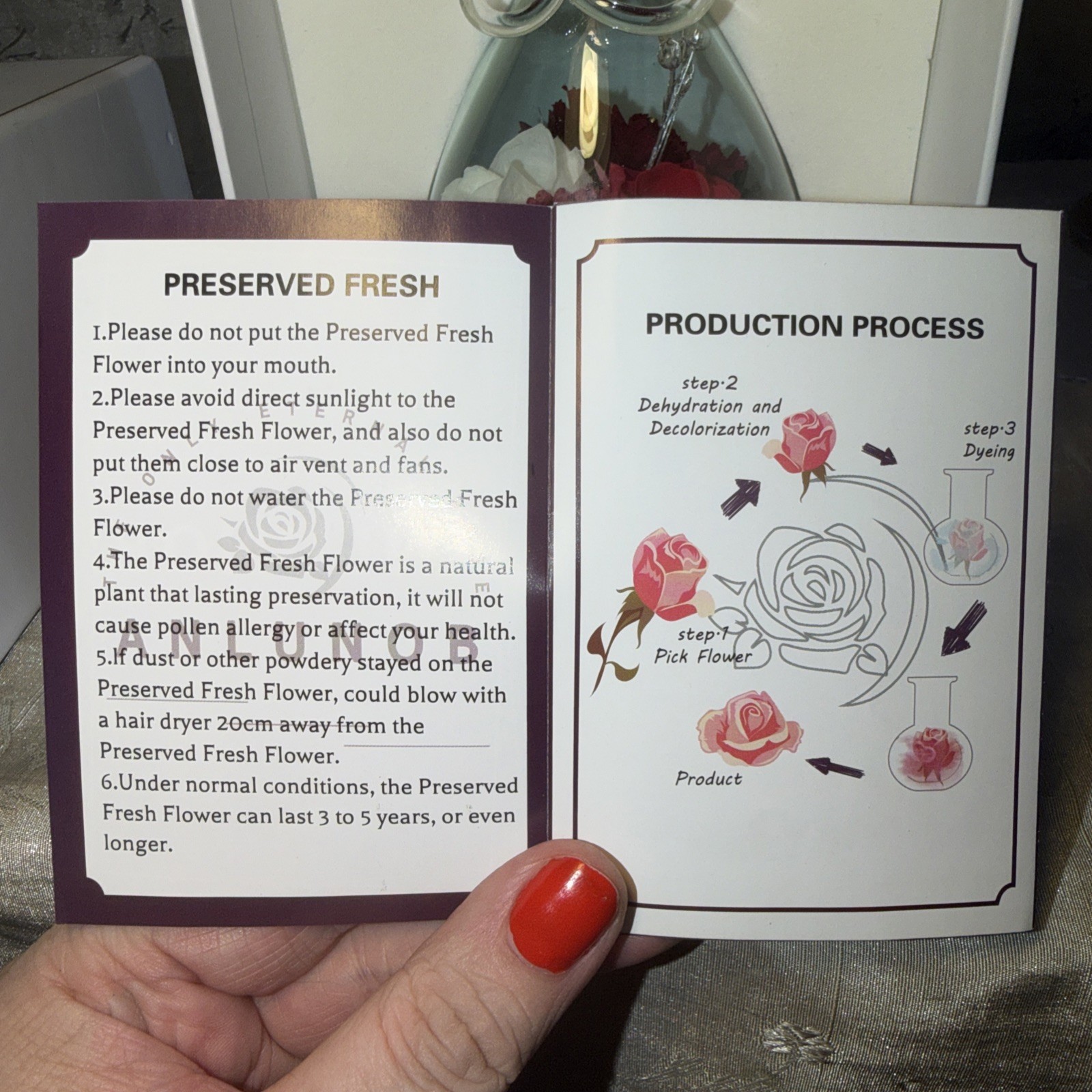 ANLUNOB The Only ETERNAL ROSE beautiful Rose Flower in glass angel- See Pics