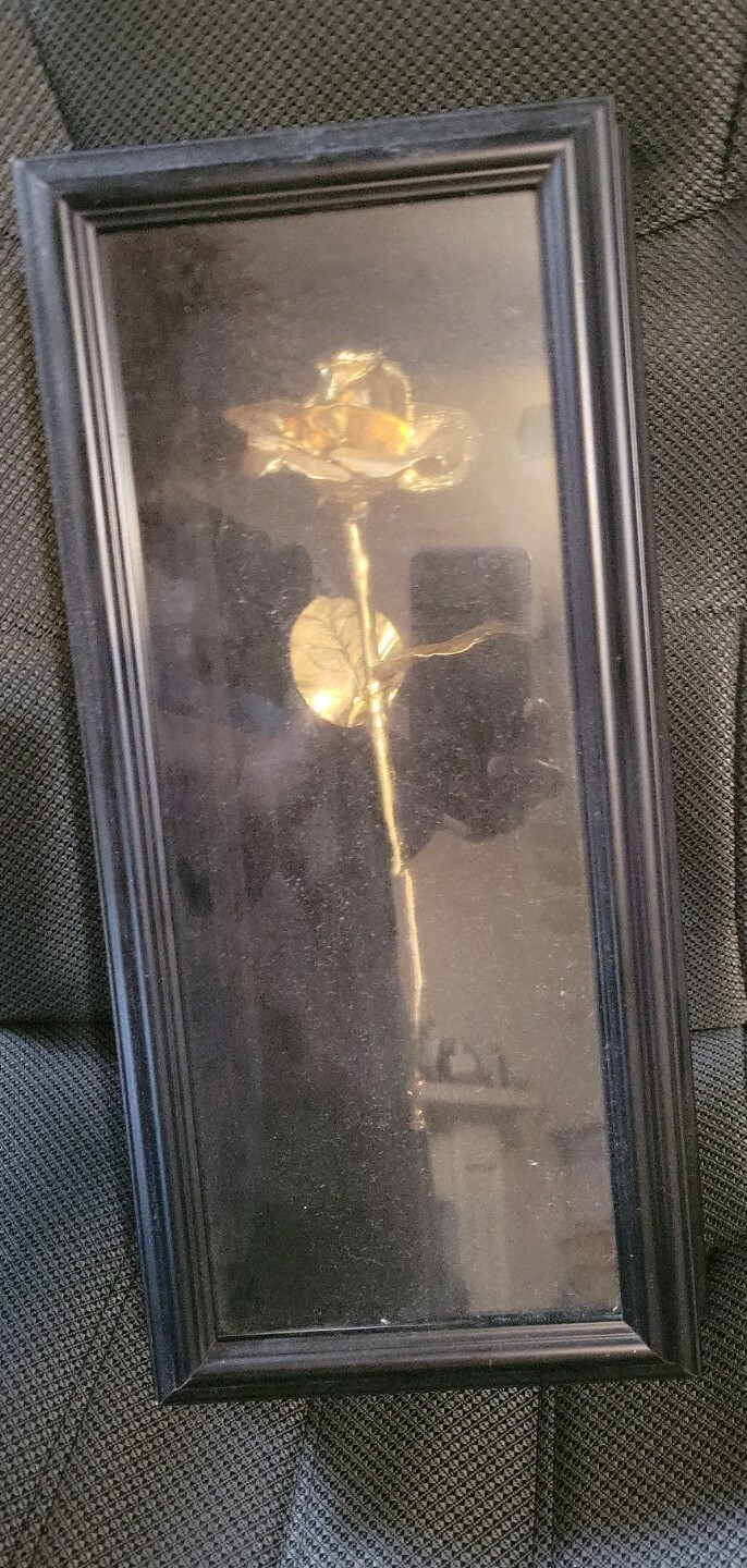 Real 24 Karat Gold Dipped American Rose Valentines mothers day gift