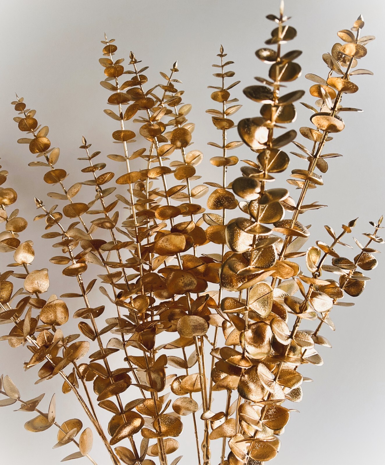 AUSTRALIAN NATIVE FLOWERS GOLD EUCALYPTUS GUM STEM ARTIFICIAL DIY ARRANGEMENT X1