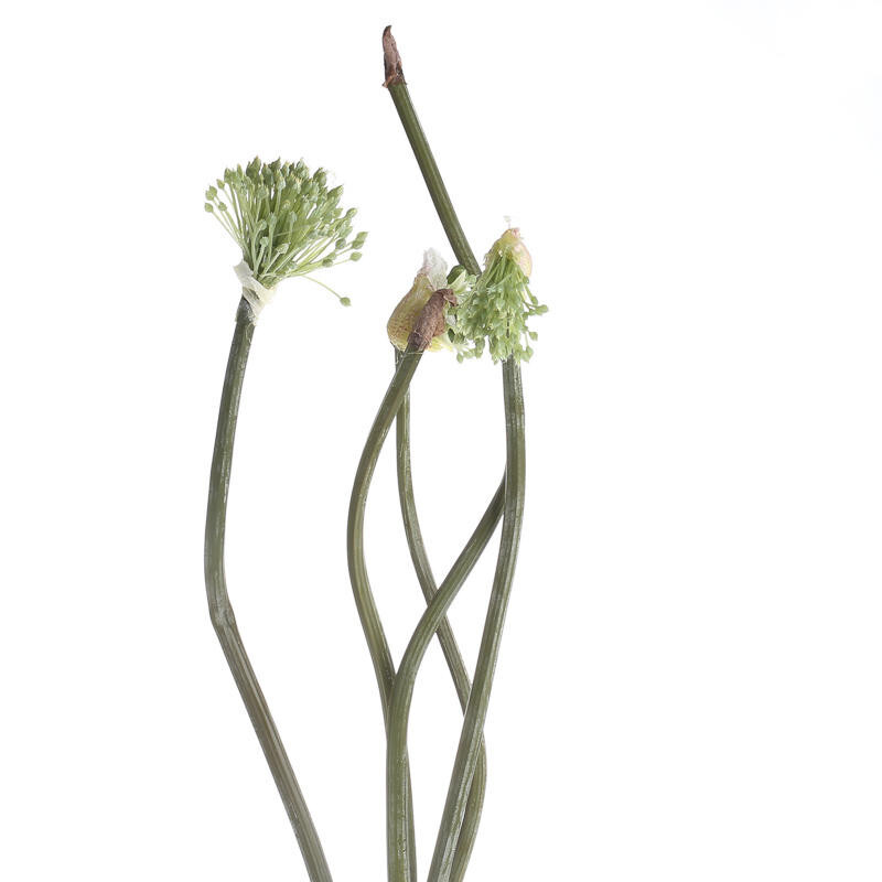 Set of 6 Green Artificial Allium Globemaster Bulb 27″ Sprays