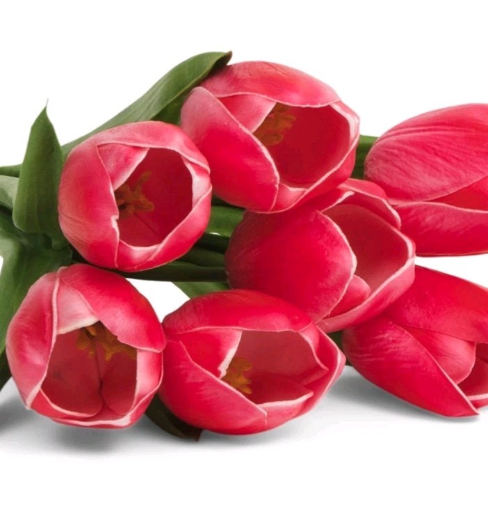 Martha Stewart artificial REAL TOUCH TULIPS Spring Summer bundle Tulip NEW set 7