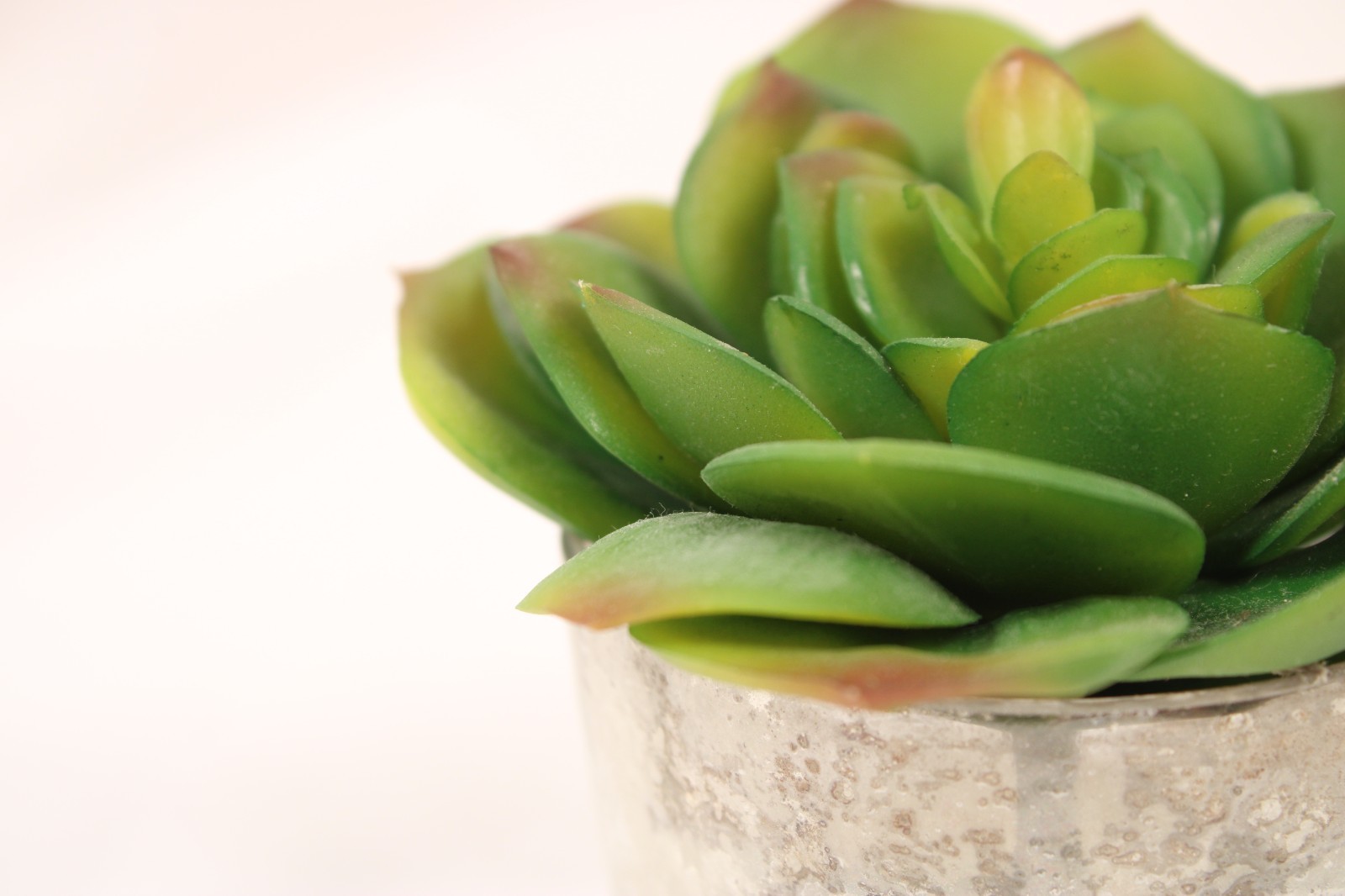 Set Of 3 Garden Faux Succulents Small Mirrored Glass Pot Artificial Plant Decor
