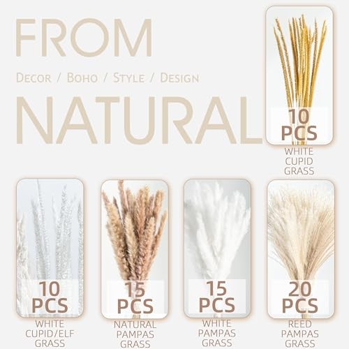 70PCS Natural Dried Pampas Grass Boho Home Decor Bouquet Phragmites 70 Pcs