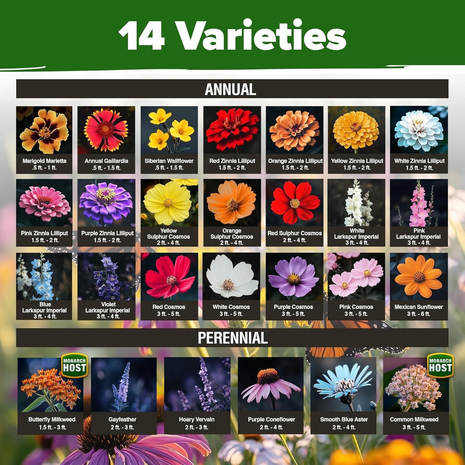 20000+ Wildflower Seeds Mix 2oz – 14 Varieties Non-GMO Milkweed for Monarchs