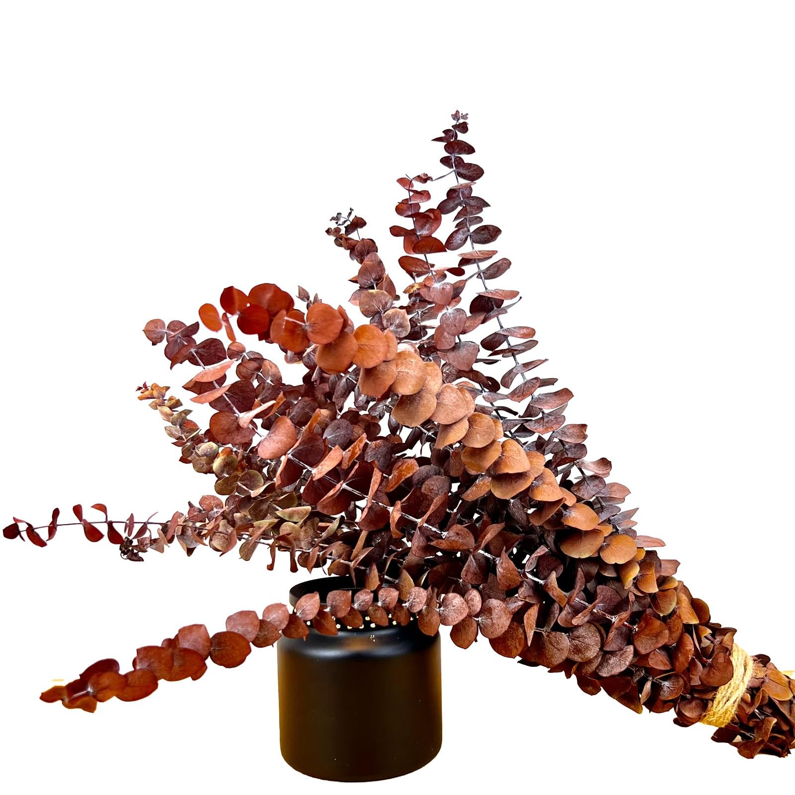 (20Pcs) Dried Eucalyptus Stems – Red, Fall Decorations for Home, Real Long Eu…