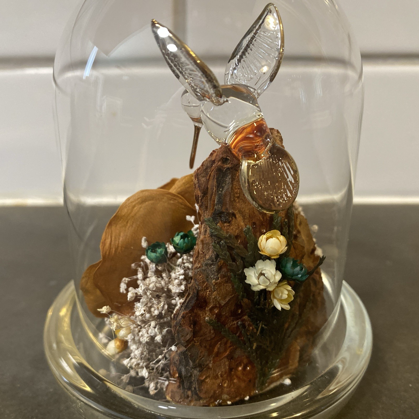Colorado Naturals Dried Rose Floral Glass Dome Display with Glass Humming Bird