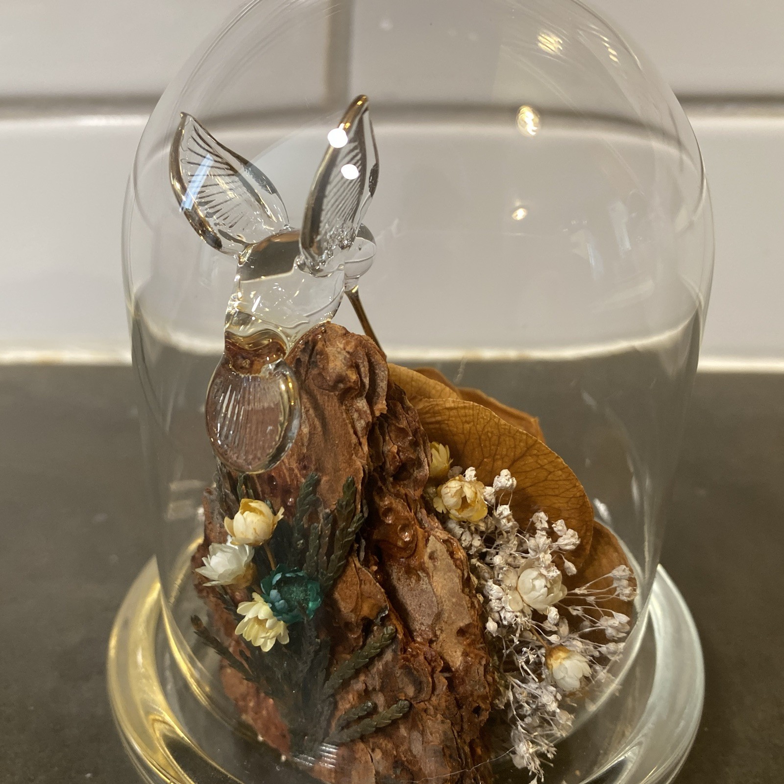Colorado Naturals Dried Rose Floral Glass Dome Display with Glass Humming Bird