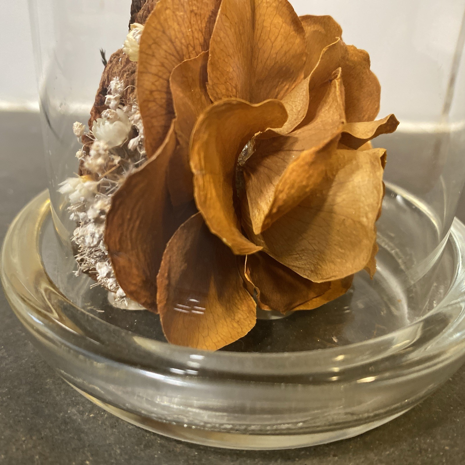 Colorado Naturals Dried Rose Floral Glass Dome Display with Glass Humming Bird