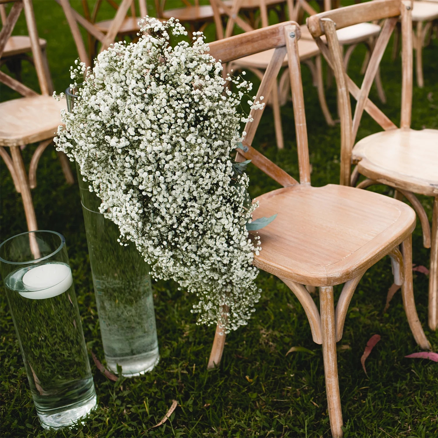 Baby’s Breath – Fresh Cut Flowers – 5 Bunches – White – by Bloomingmore