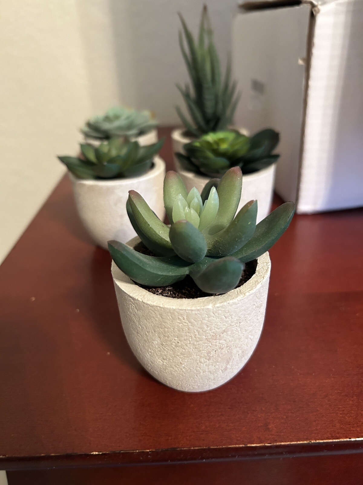 Artificial Succulents with Gray Pots – Set of 5 – New in Box