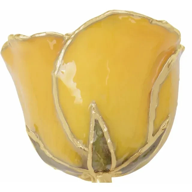 Genuine 24K Gold Yellow Rose